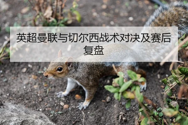 英超曼联与切尔西战术对决及赛后复盘